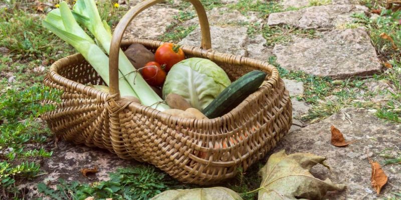 Produits de saison : comment les consommer ? Où les acheter ?