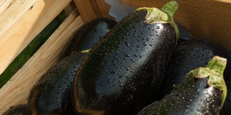 Comment cuisiner les aubergines ?