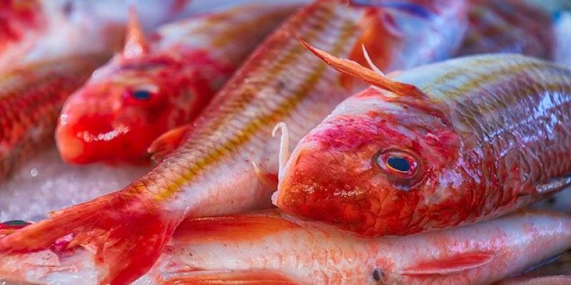 Comment cuisiner à la perfection le rouget barbet ?