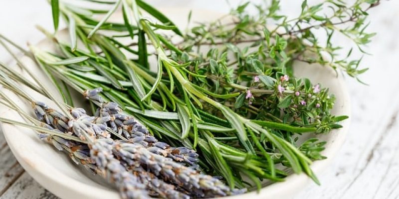 Pourquoi prendre de la tisane de thym pendant la grossesse ?