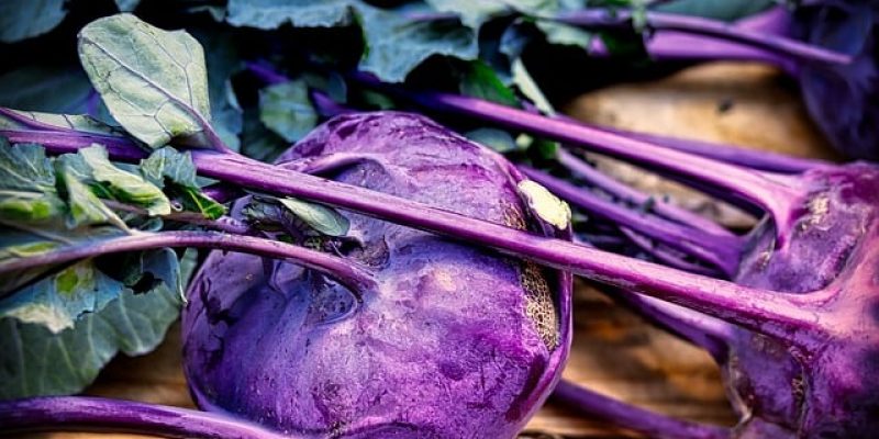 Potager d’intérieur : quels sont les avantages ?