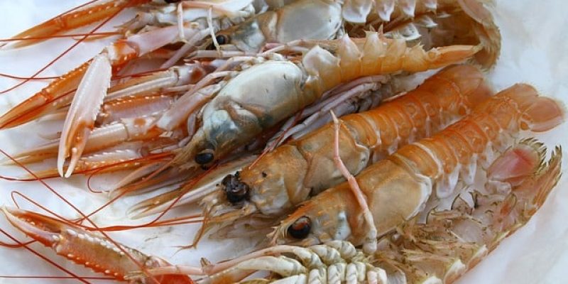 Comment cuire des langoustines ?