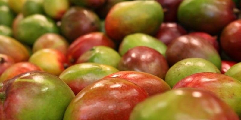 Comment manger une mangue ?