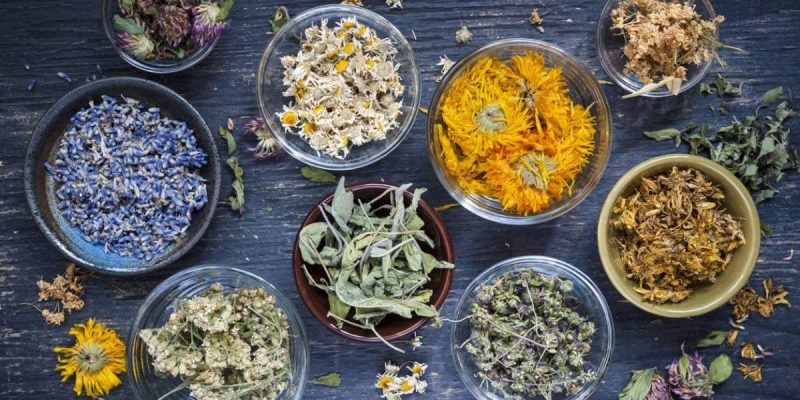 La tisane, c&rsquo;est tendance