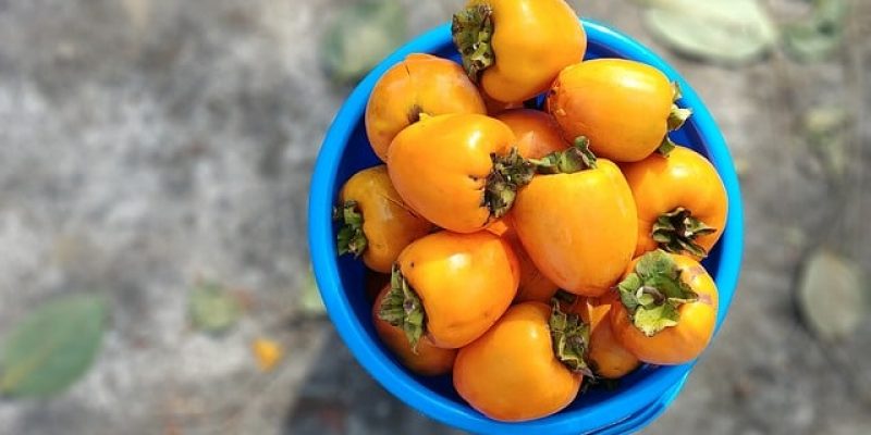 Comment manger un kaki ?