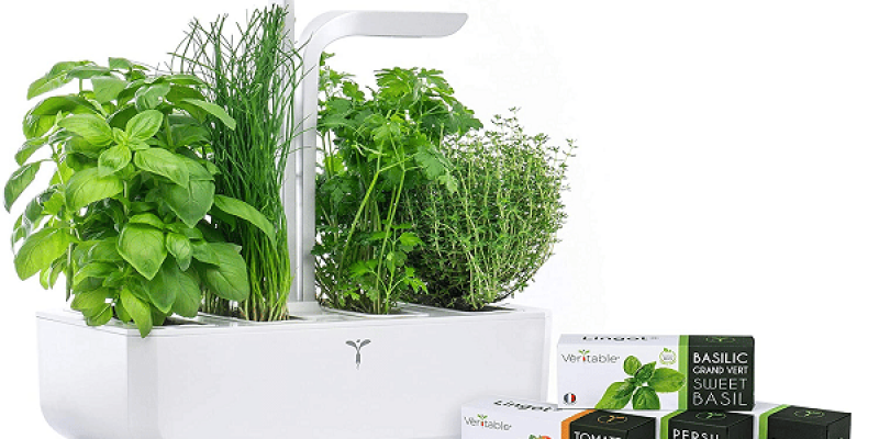 Comparatif des meilleurs potagers d&rsquo;intérieur