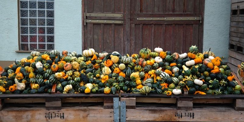 Comment cuisiner le pâtisson ?