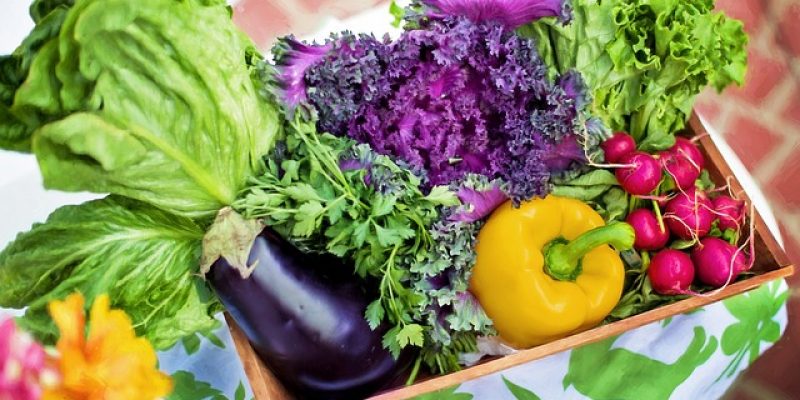 Que manger ce soir  : 8 idées de plats en moins de 30 min !